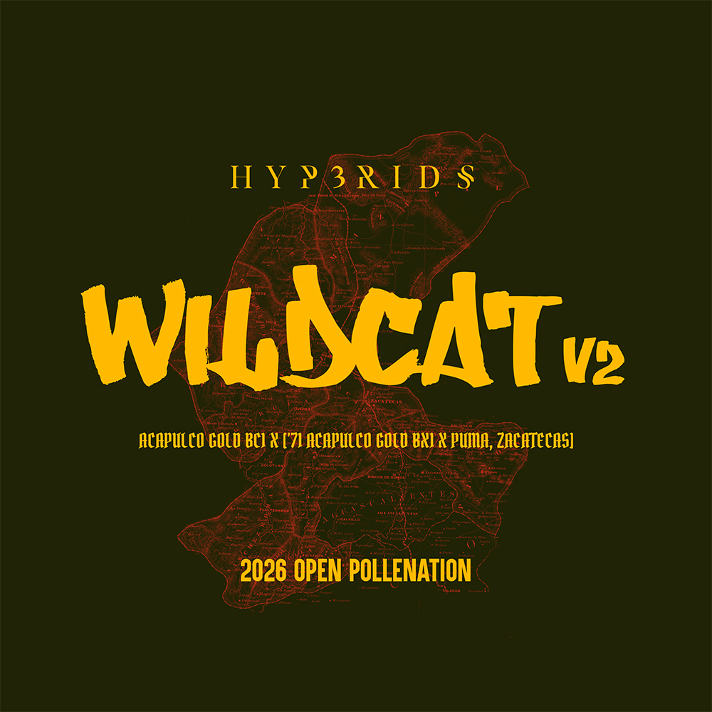 WILDCAT_V2