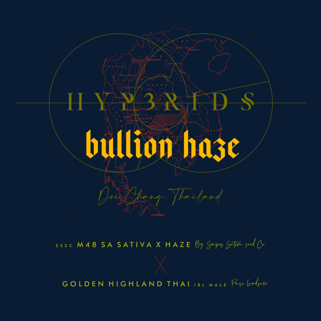 GHT_GOLD_Bullion Haze_ST_new