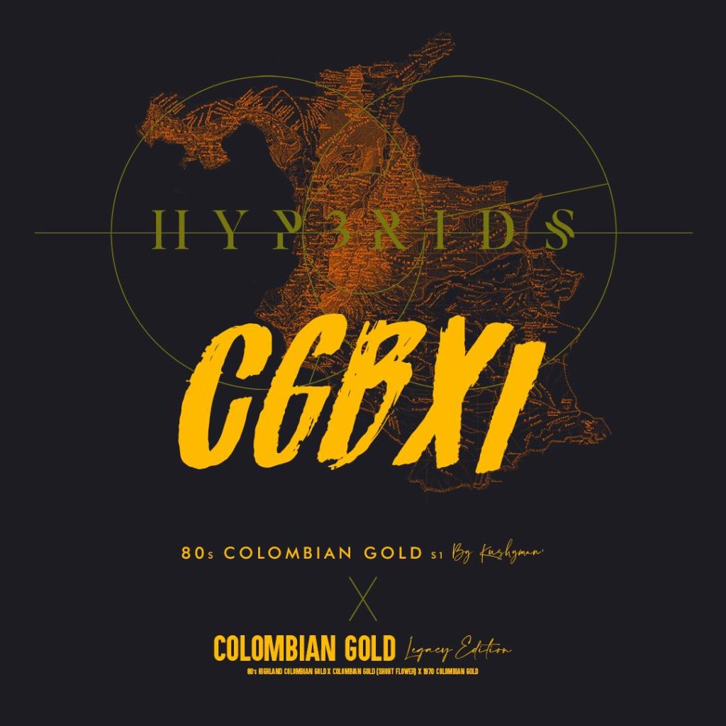COL_BX1_X_COL_GOLD_LE_IG