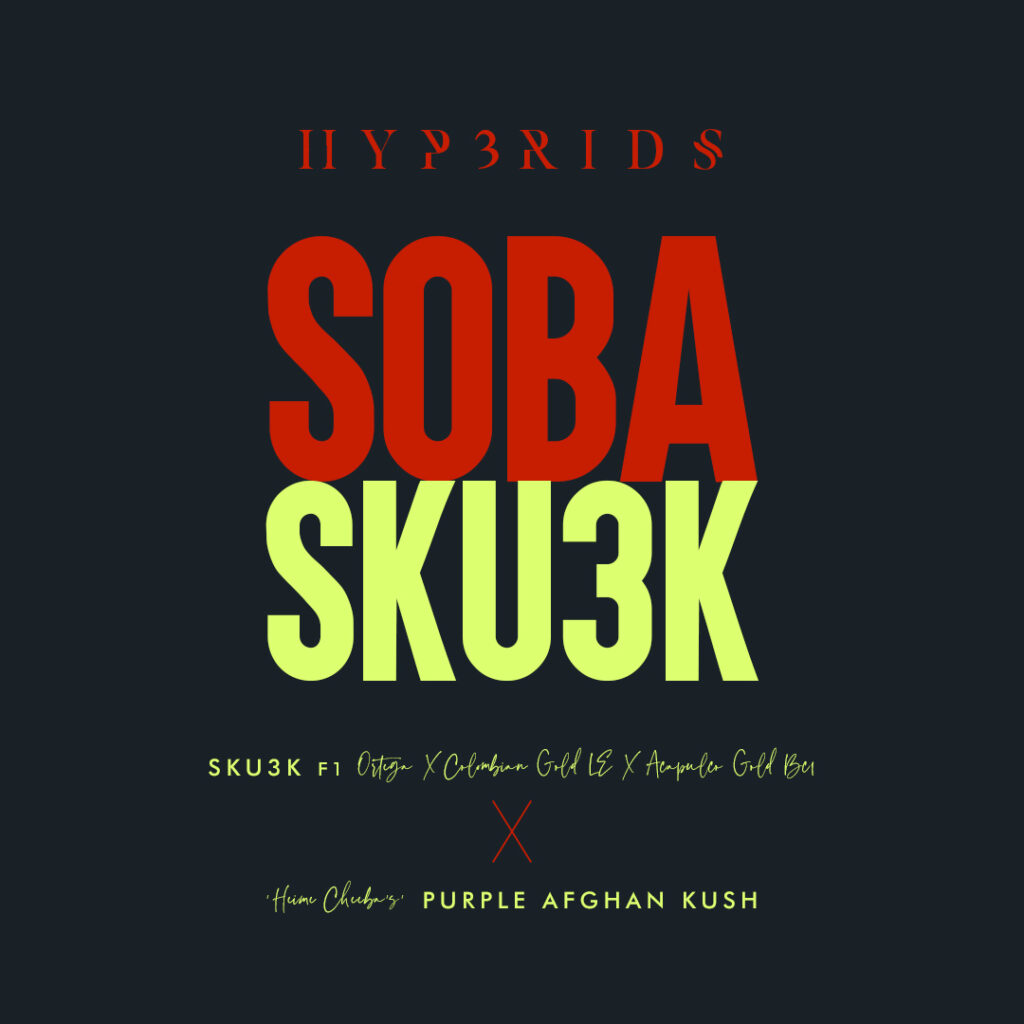 SW00_SOBA_SKU3K_WP