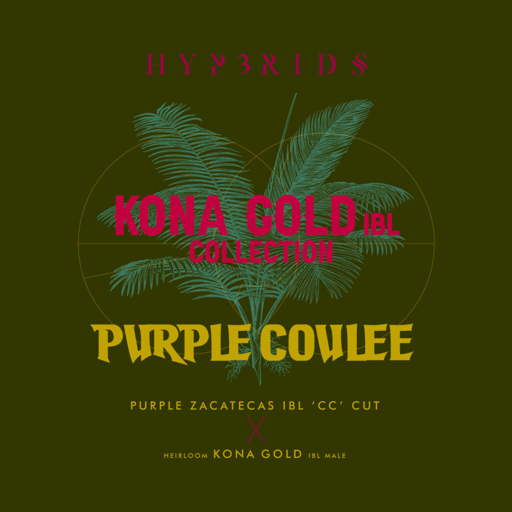 COULEE