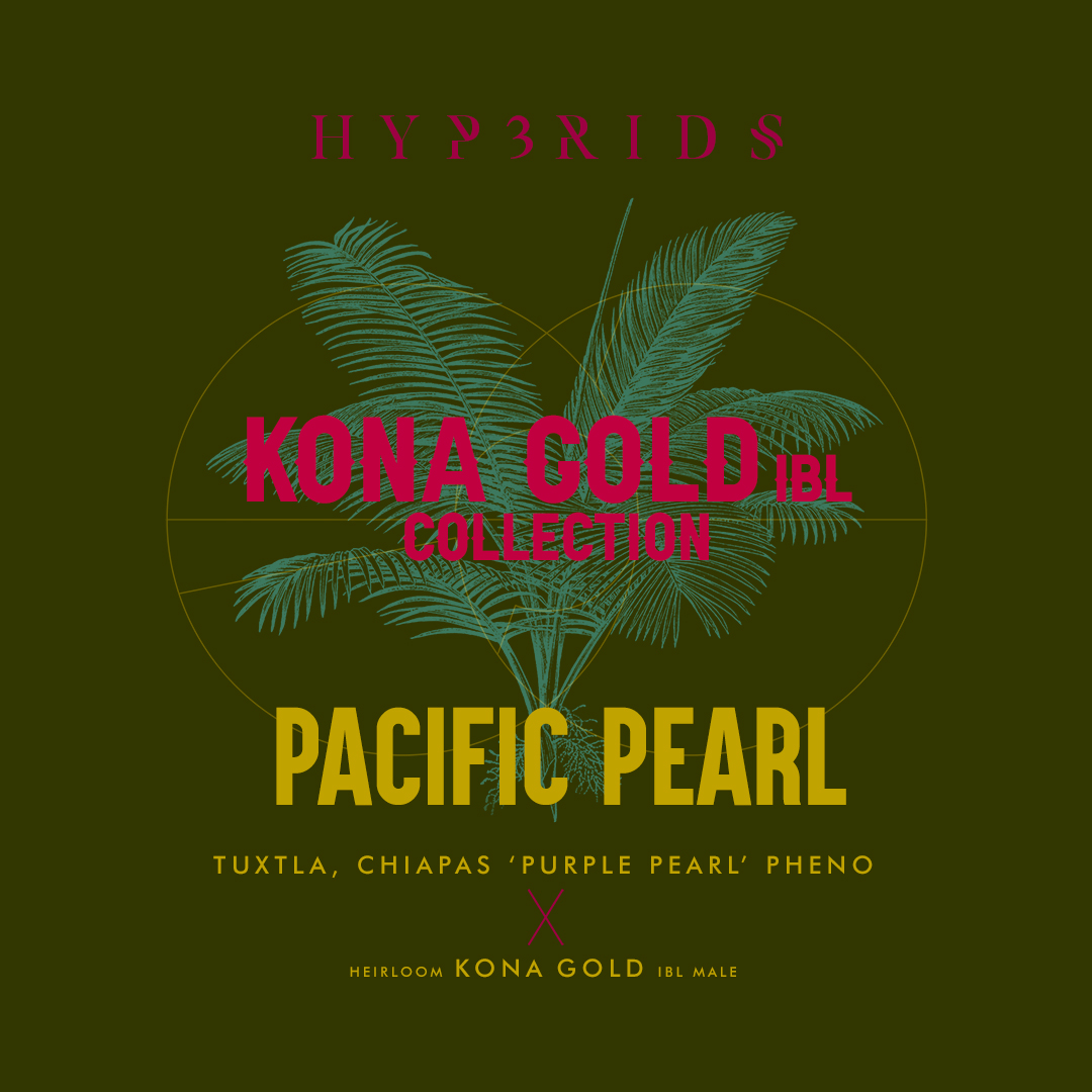 PACIFIC PEARL