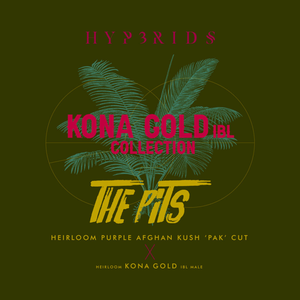 THEPITSCARD