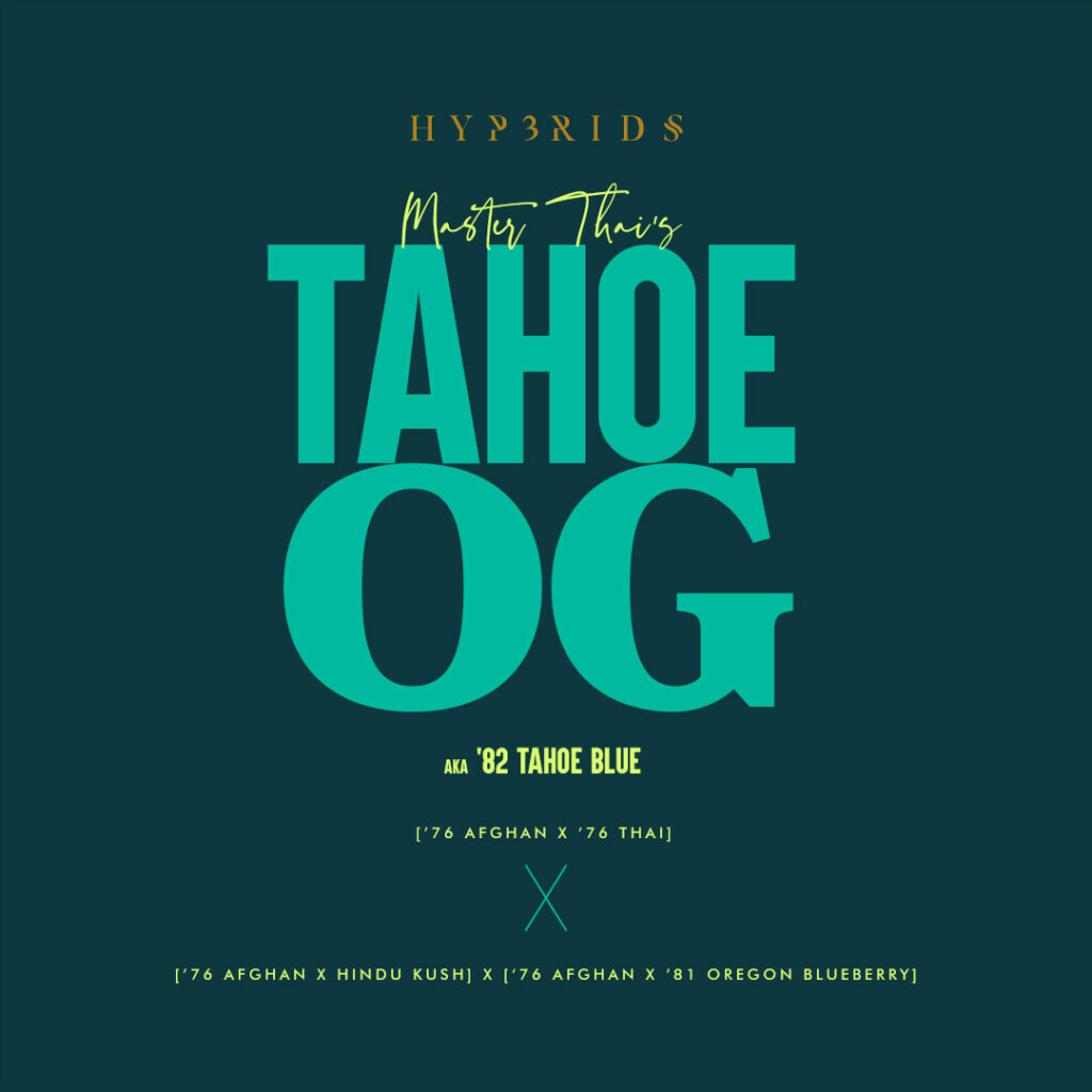 MASTER_THAI_TAHOW_OG_WP
