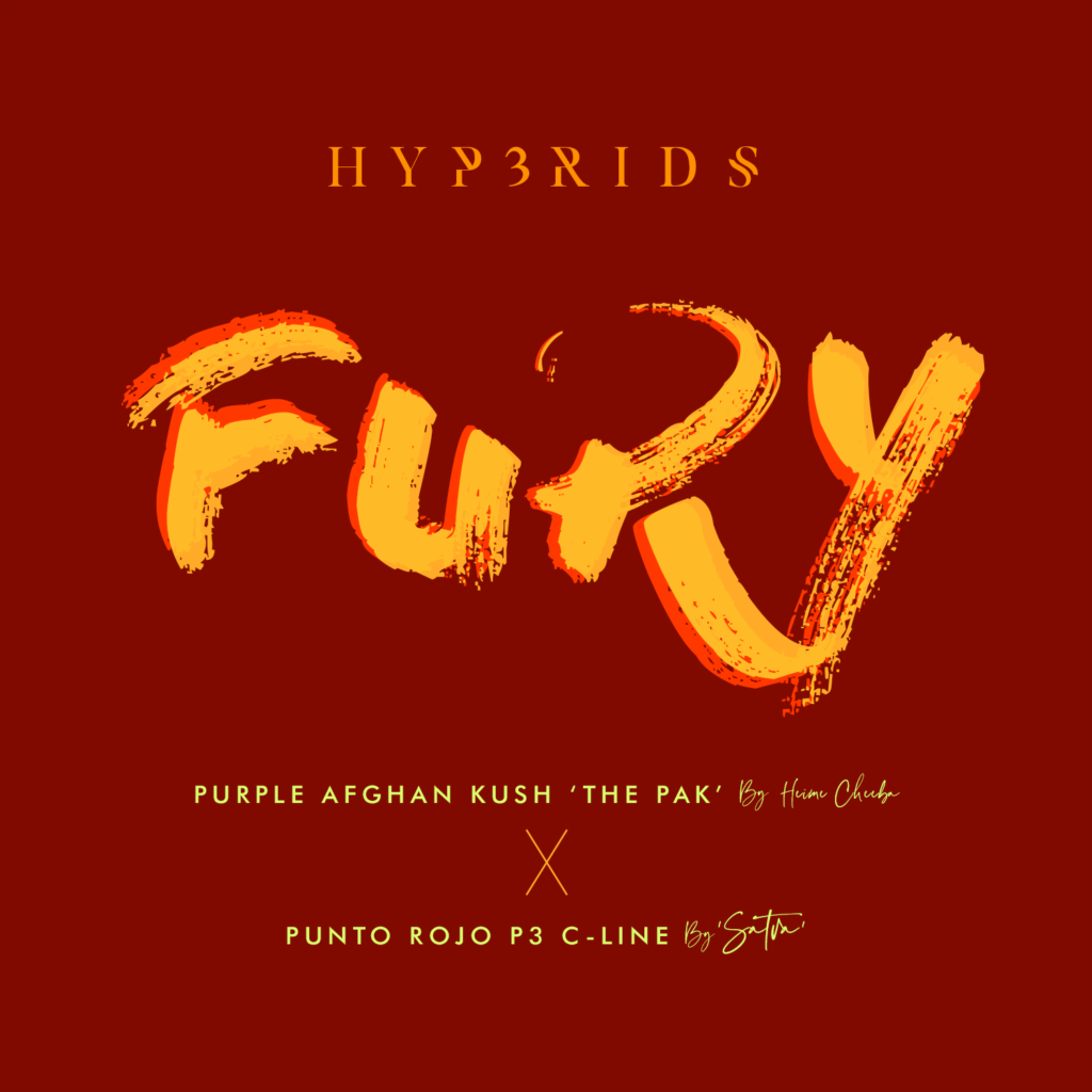FURY_01_WP copy