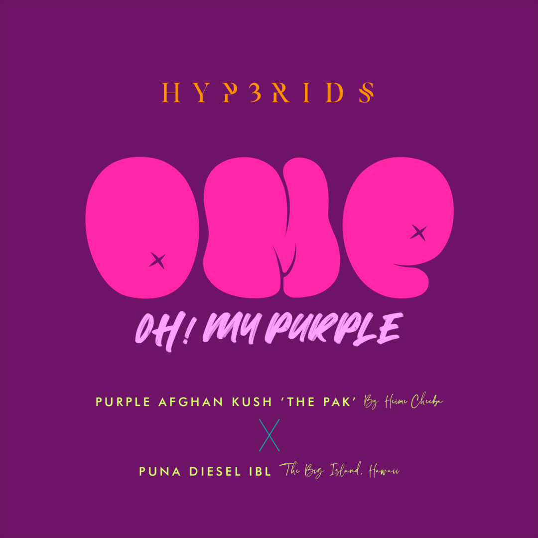 OMP aka OH! My Purple