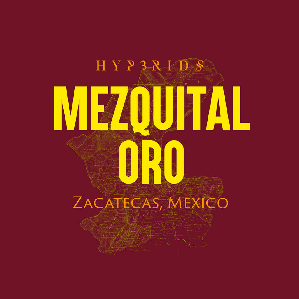 Mezquital Oro_WP_V2 copy